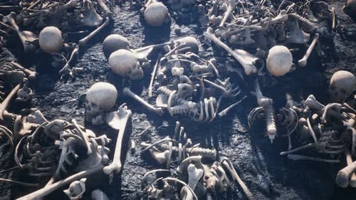 Pile of Human Skeletons and Bones on Rocky Ground
