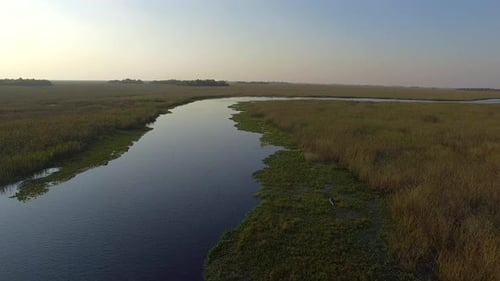 Aerial view of Ibera Wetlands, Corrientes Province, Argentina