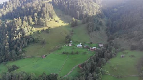 Aerial View of the Carpathian Mountain Valley with Green Meadows and Trees