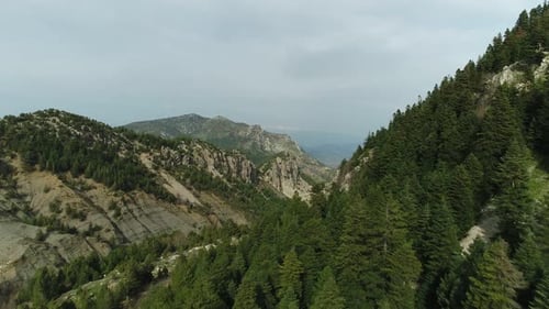 Nature Forest And Mountains Lake Aerial View