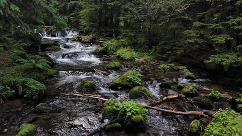 Fluss fließt über Felsen im Wald