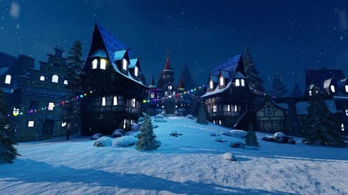 Winter Castle and city
