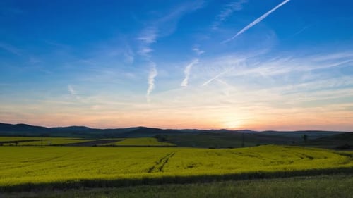 Field with Plants in the Valley Against the Backdrop of the Sunset Sky in Bulgaria