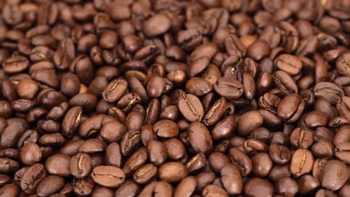 Close Up of Fresh Roasted Coffee Beans
