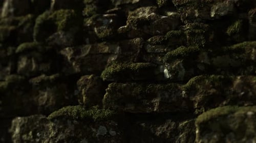 Close-Up of Ancient Stone Wall with Moss Texture Background
