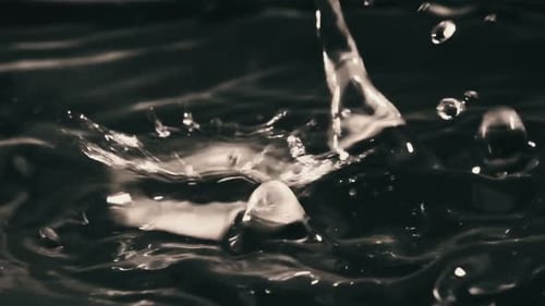 Many Drops of Water Fall on the Surface of the Water in Slow Motion Macro Shot