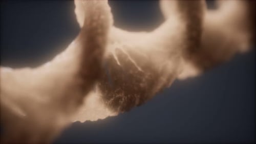 Loopable Structure of the DNA Double Helix Animation