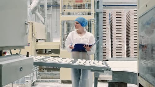Controller Checking Conveyor with Candies. Candy Factory.