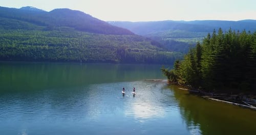 Couple rowing a stand up paddle board in the river 4k