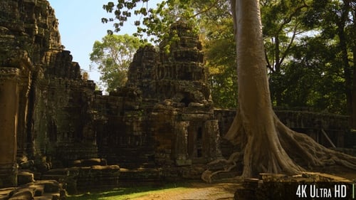 4K Banteay Kdei Tempel, umgeben von Dschungelbäumen in Kambodscha