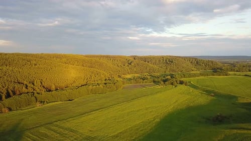 Green Forest Hills At Sunset