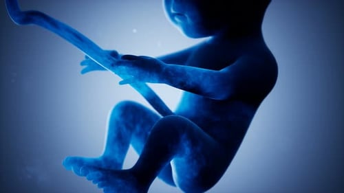 Animation médicale 3D d'un foetus humain