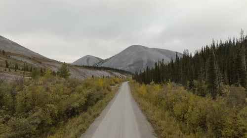 View of Scenic Road From Above
