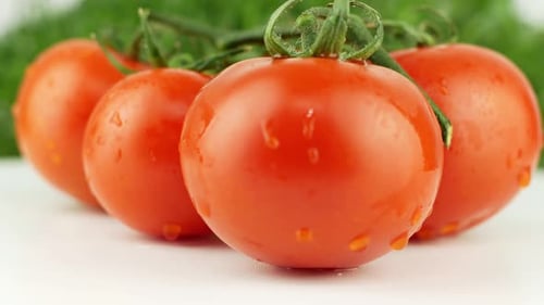 Ripe natural tomatoes close-up. Organic tomato rotating on a green background Macro shot.