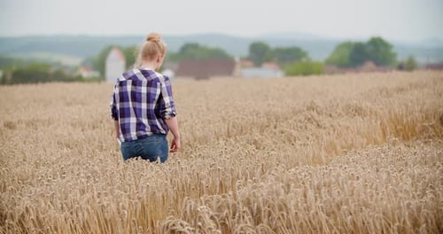 Agriculture Female Farmer Walking in Wheat Field with Digital Tablet