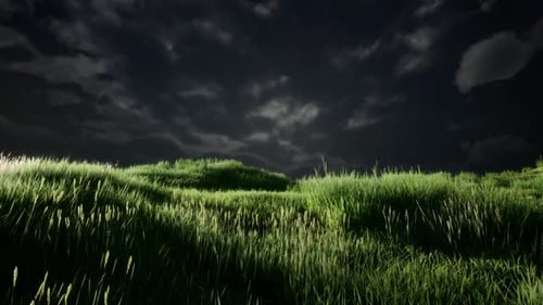 Gewitterwolken über Wiese mit grünem Gras