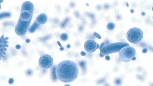 Blue Body Microbiome Bacterium Medical Concept Healthy Food