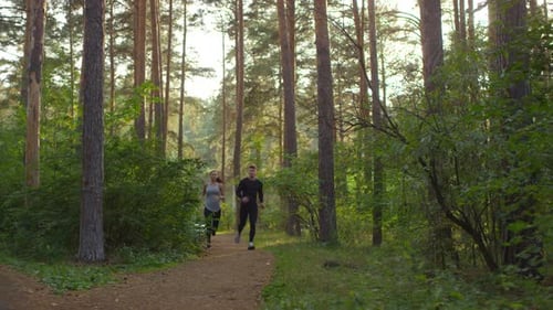 Athletic Couple Having Morning Run in Forest