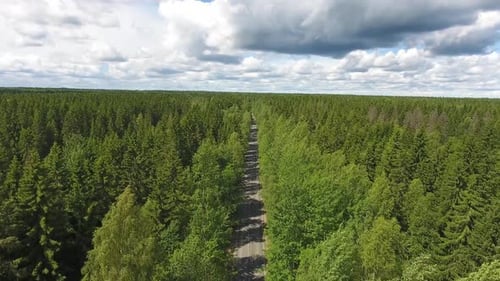 Aerial Top View of Road Through Forest in Summer