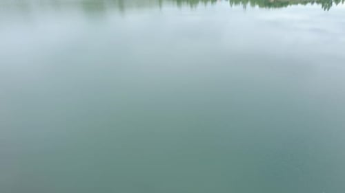 Tranquil scenery with coastal area and water surface of the lake 4K aerial video