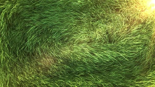 Gras-Hintergrund