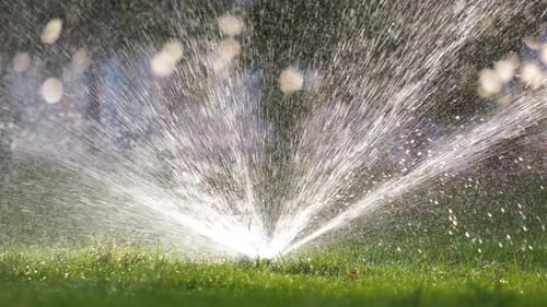 Aspersor de plástico irrigando gramado com água no jardim de verão. Regando a vegetação verde