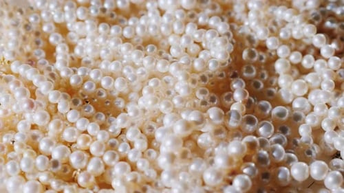 Luminous White Pearls Pile in Close Up Shot