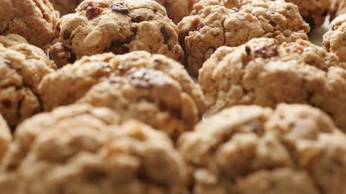 Close-up of tasty oatmeal homemade biscuits served on plate slow tilt 4K 2160p 30fps UHD footage -