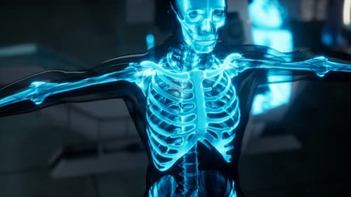 Human Skeleton Bones Scan Exam in Lab