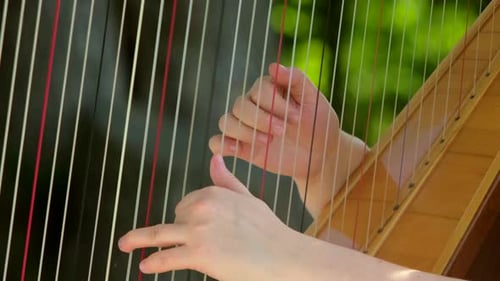 A woman plays a harp in the Park. Hands close up