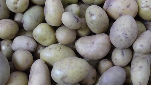 Potatos