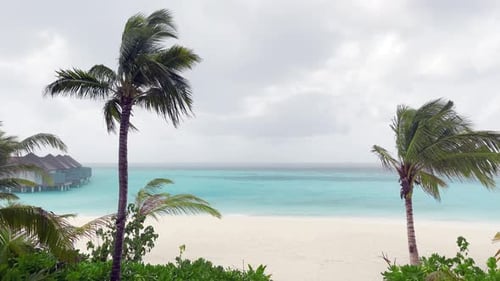 The coastline of the ocean. Maldives, June 2021