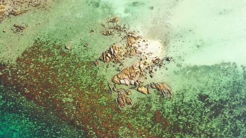 Aerial flying over sky of relaxing bay beach vacation by turquoise ocean with white sandy background