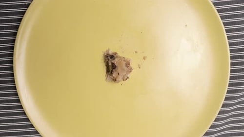 Bewegliche und verschwindende Schokoladenkekse auf gelbem Teller, Stop Motion