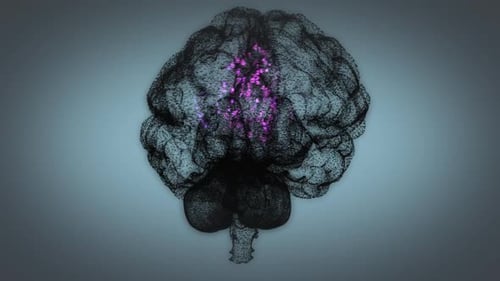 Colorful binary digits representing biochemical processes in the human brain.
