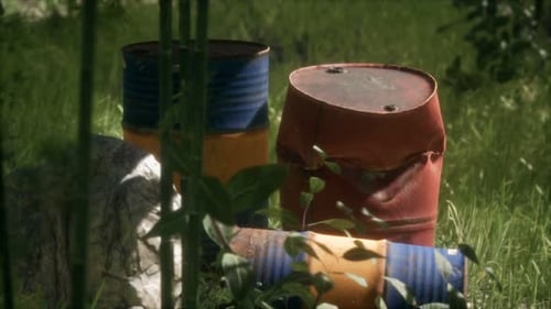 Rusty Barrels in Green Forest