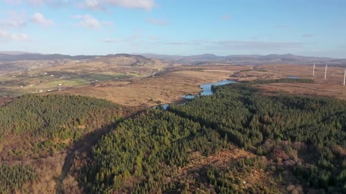 O reflorestamento continua em Bonny Glen, no Condado de Donegal, Irlanda