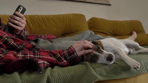 Woman Relaxes on Couch with Dog and Phone