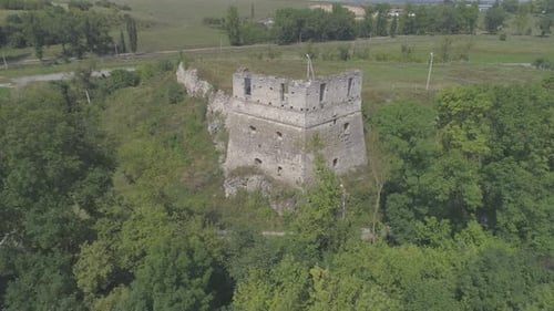 Old tower and trees