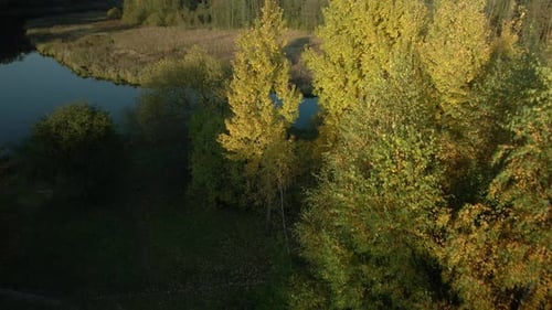 Park area. A winding river. Trees with yellow autumn leaves are visible. Aerial photography.