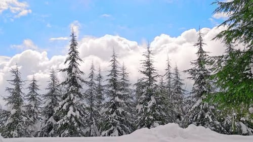 Wolkiger Wintertag (2K)