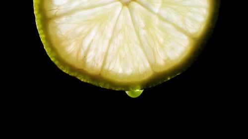 Lime Slice with Dripping Water on Black Background