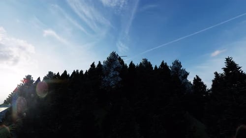 4K - Hélicoptères et forêts