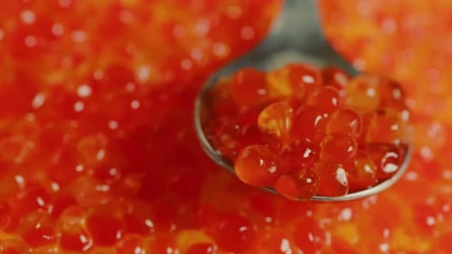 Teaspoon with Juicy Red Caviar on Background of Caviar