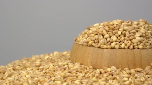Wheat grains on white background.