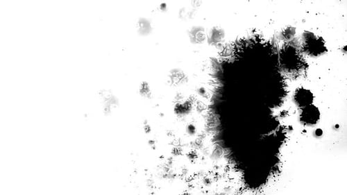Schwarze Muster