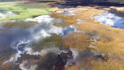White clouds in blue sky reflected in the waters of a marsh wetland and yellow grass in autumn