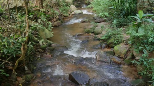 Creek