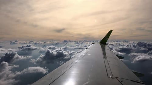 Wing Filmed From the Airplane Which is Flying Over Clouds on Dawn