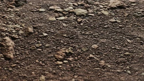 Closeup of Dirty Ground Road